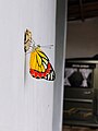 Butterfly with its cacoon