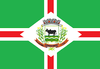 Flag of Córrego Novo