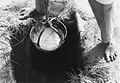 COLLECTIE TROPENMUSEUM De putaker waarmee een Fulani man water haalt uit een traditionele waterput TMnr 20010206.jpg