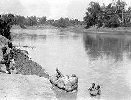 Vrouwen en kinderen in de rivier Solo bij Watualang (collectie Tropenmuseum)