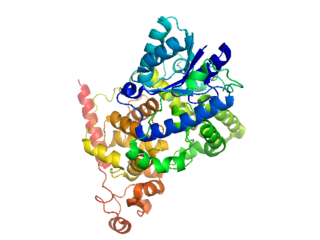 <span class="mw-page-title-main">Cryptochrome</span> Class of photoreceptors in plants and animals