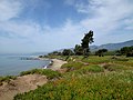 Thumbnail for Carpinteria State Beach