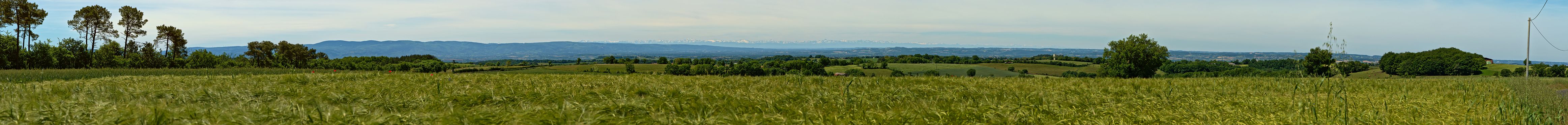 Français : Vue de la chaîne des pyrénées depuis un champs à Montredon-Labessonnié (Tarn). English: View of the Pyrénées chain from a crop field in Montredon-Labessonnié (Tarn, France).