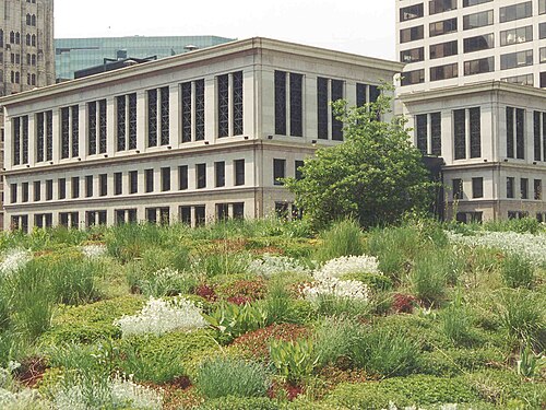 Chicago-City-Hall-Green-Roof 04.jpg