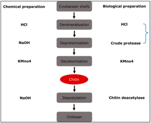 Diagrammatic representation of chitosan preparation from natural source in which natural and chemical processing are utilised.