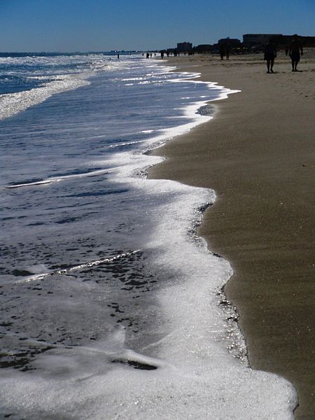 File:Cocoa Beach at Lori Wilson Park - Flickr - Rusty Clark (120).jpg