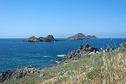 English: The Îles Sanguinaires are consisting of four island which are off the Pointe de Parata near Ajaccio (Corsica). There are different oppinons to the origin of the name (setting sun, vegetation,...). The single names of the islands are: Mezzu Mare (or Grande Sanguinaire), Île des Cormorans (or Isolotto), Cala d'Alga and Porri. Between Porri and île des Cormorans ther is the rock U Sbiru. The islands are a Natura 2000 area. Deutsch: Die Sanguinaires (Blutinseln) bestehen aus vier dem Pointe de Parata vorgelagerten Inseln. Zur Herkunft des Namens gibt es keine einheitlichen Meinung (Abendsonne, Bewuchs,...). Die Namen der Inseln sind: Mezzu Mare (oder Grande Sanguinaire), Île des Cormorans (oder Isolotto), Cala d'Alga und Porri. Dazu gehört noch der Felsen U Sbiru zwischen Porri und der île des Cormorans. Die Inseln sind ein Natura 2000 Schutzgebiet.