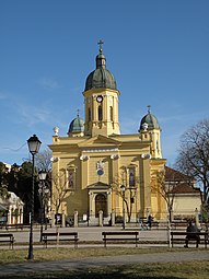 Црква Свете Тројице у Неготину
