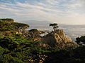 Egyedei Pebble Beachen, Monterey, Kalifornia