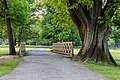 Dülmen, Wildpark, Brücke am Herzteich -- 2021 -- 9074