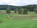 Naturschutzgebiet Berger Weiher Kressbronn am Bodensee