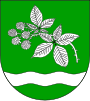 Blason de Brammer