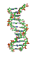 DNA orbit animated.gif