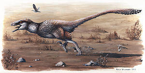 הדקוטרפטור הוא מין של דינוזאור טורף ממשפחת הדרומאוזאוריים שחי באמריקה הצפונית בשלהי הקרטיקון, ונתגלה ב-2015 בדקוטה הדרומית. הדקוטרפטור היה טורף מהיר ובינוני בגודלו (5.5 מטר), עטוי בנוצות.