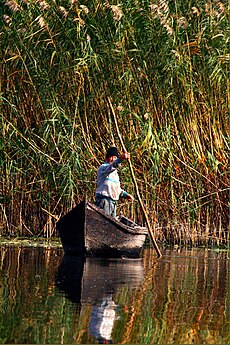 Danube Delta, fisherman.jpg