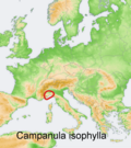 Mapa de distribución Campanula isophylla.png