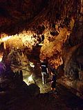 Thumbnail for Dixie Caverns