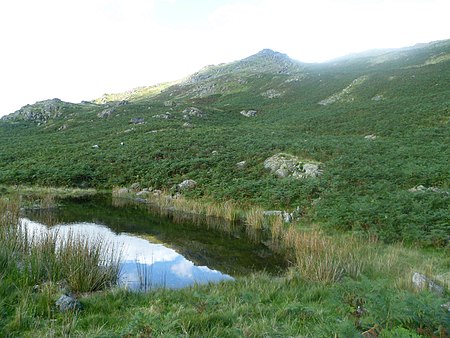 Dockey Tarn