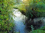 Naturschutzgebiet Düsseltal