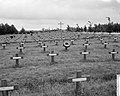 Duitse begraafplaats Ysselsteyn in Limburg, Bestanddeelnr 915-2768.jpg