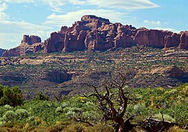 Gajah Butte di Arches National Park.jpg