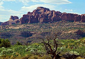 Elefánt Butte megtekintése a Panorama Pointból.