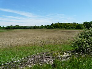 Dombes: Géographie, Le pays de Dombes, Histoire