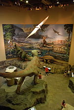 Thumbnail for File:Fernbank Museum - Atlanta - Flickr - hyku (23).jpg