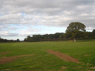 Sparkford Wood