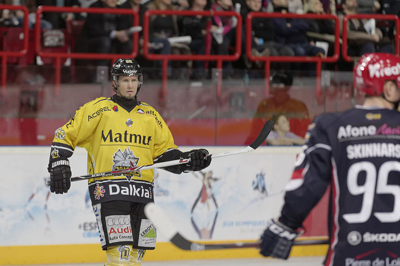 File:Finale de la coupe de France de Hockey sur glace 2014 - 116.jpg