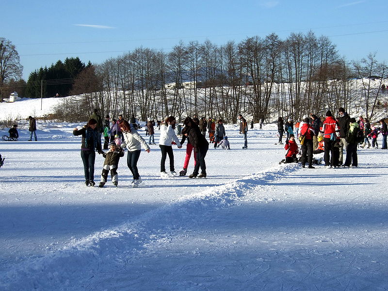 File:Finkenstein Unteraichwald Aichwaldsee im Winter 04012009 22.jpg