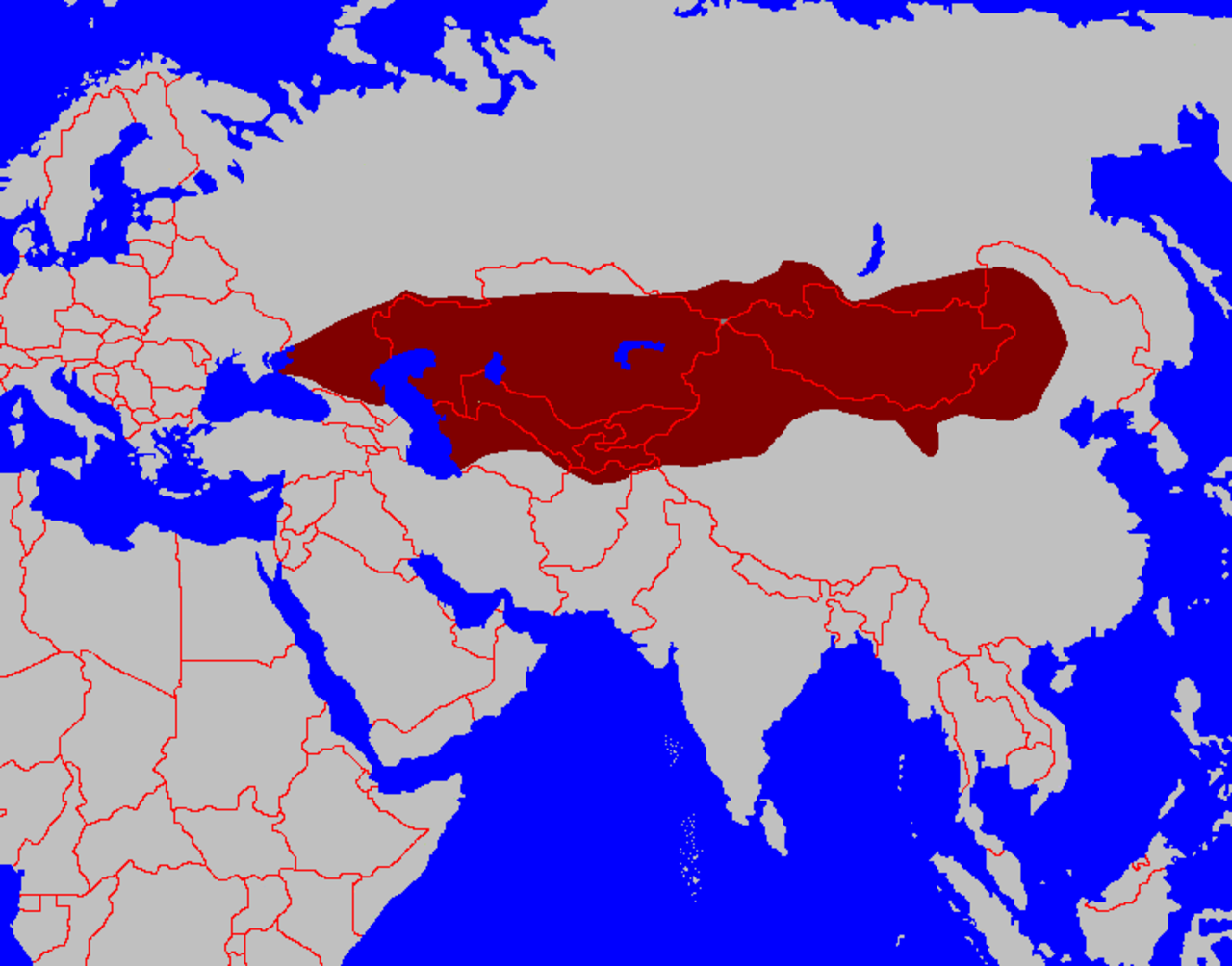 Тюркский каганат(vi-VII ВВ.):. Тюркская Империя территория. Тюркский каганат территория. Великий тюркский каганат.