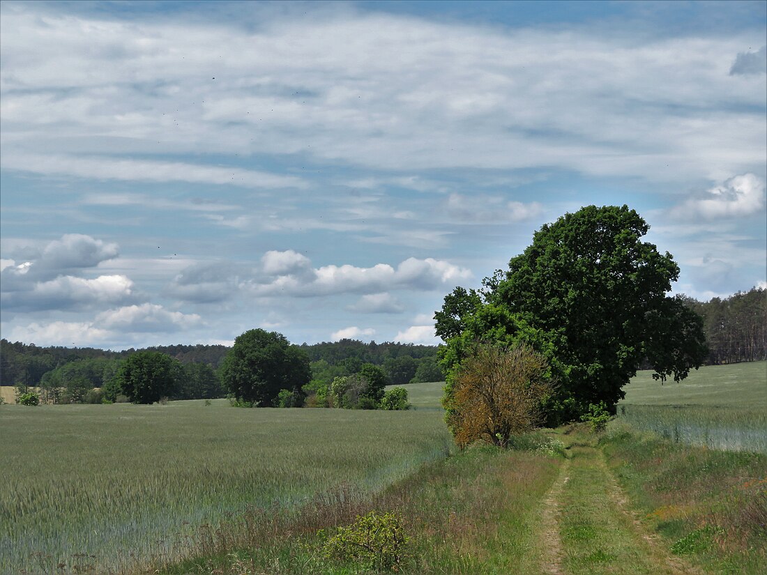 Fläming