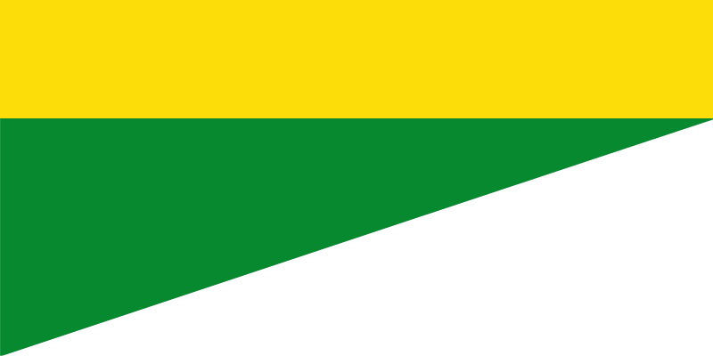 File:Flag of Caracolí.svg