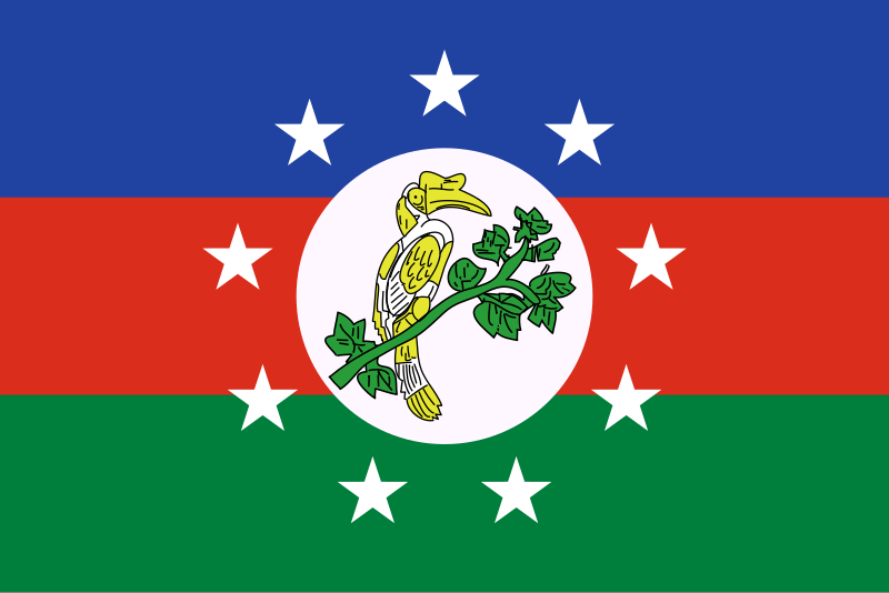 File:Flag of Chin State.svg
