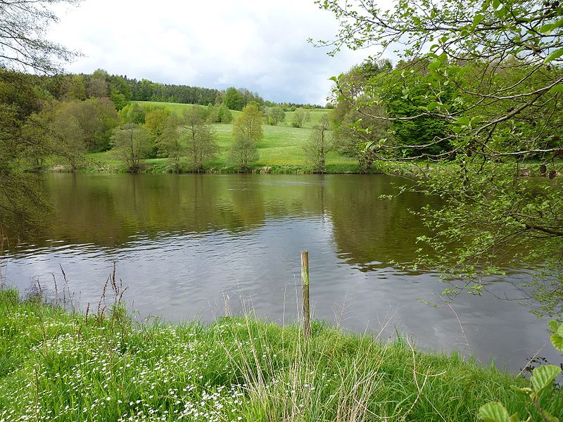 File:Flusslauf Regen bei Wiesing.jpg