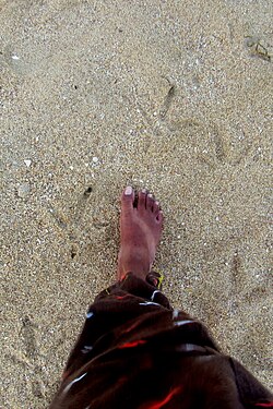 My daughter is following a foot print of a seabird at beach ... one among the activity at beach.