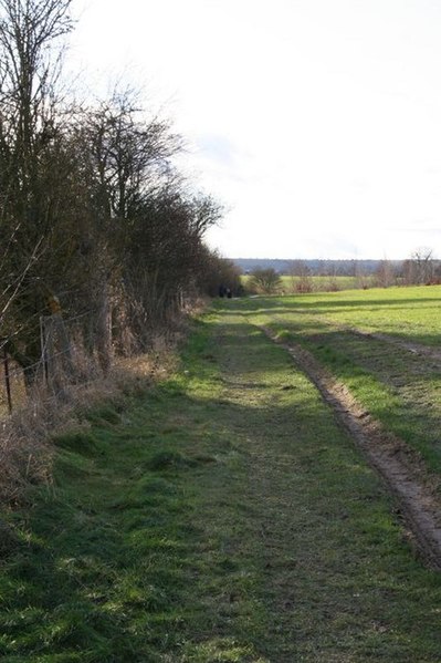 File:Footpath along the cutting - geograph.org.uk - 1660463.jpg