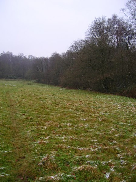 File:Former Anti-Tank Ditch, Old Lodge Warren - geograph.org.uk - 647939.jpg