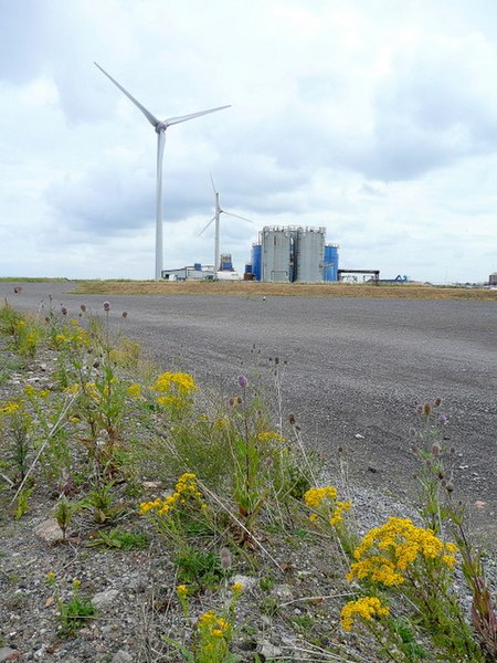 File:Fossil fuel and wind power - geograph.org.uk - 1461592.jpg