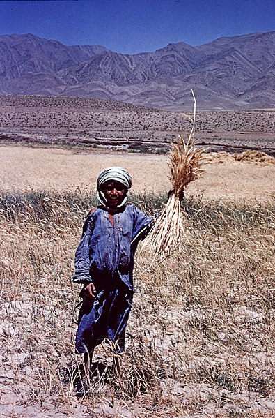 File:Françoise Foliot - Afghanistan 198.jpg