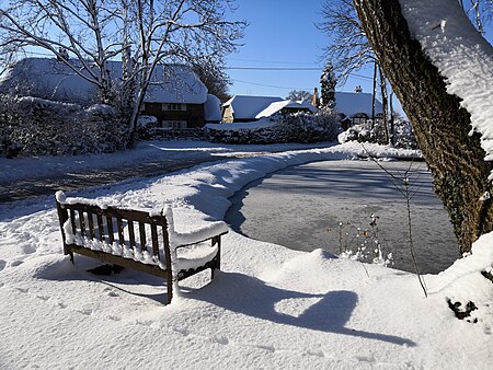 Frozen Inkpen Pond