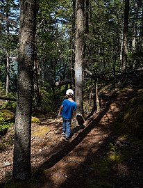 Gabriel on a Great Wass Island Preserve hiking trail, Maine, US