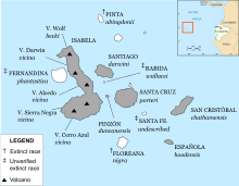 Um mapa das Galápagos com rótulos com os nomes das ilhas e suas espécies nativas de tartaruga