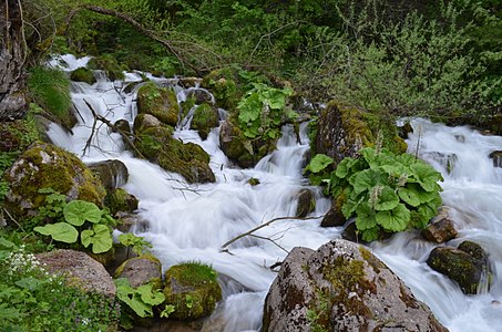 Garska River in the village of Gari, Macedonia