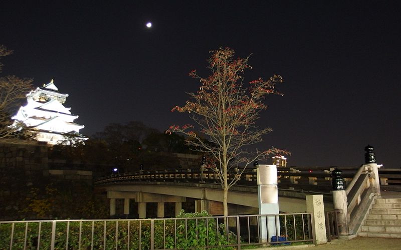 File:Gokuraku-Bashi Bridge in Osaka Castle Park at Night in 201411 002.JPG