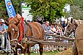 Moisson à l'ancienne 2