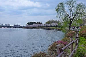 Ilsan Lake Park