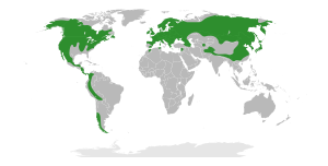 Grossulariaceae Distribution.svg