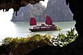 Fledermausgrotte in der Halong-Bucht, Vietnam